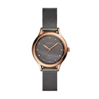 FOSSIL FEMME BQ3393
