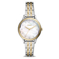 FOSSIL FEMME BQ3864