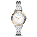 FOSSIL FEMME BQ3864