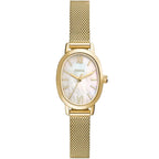 FOSSIL FEMME BQ5017