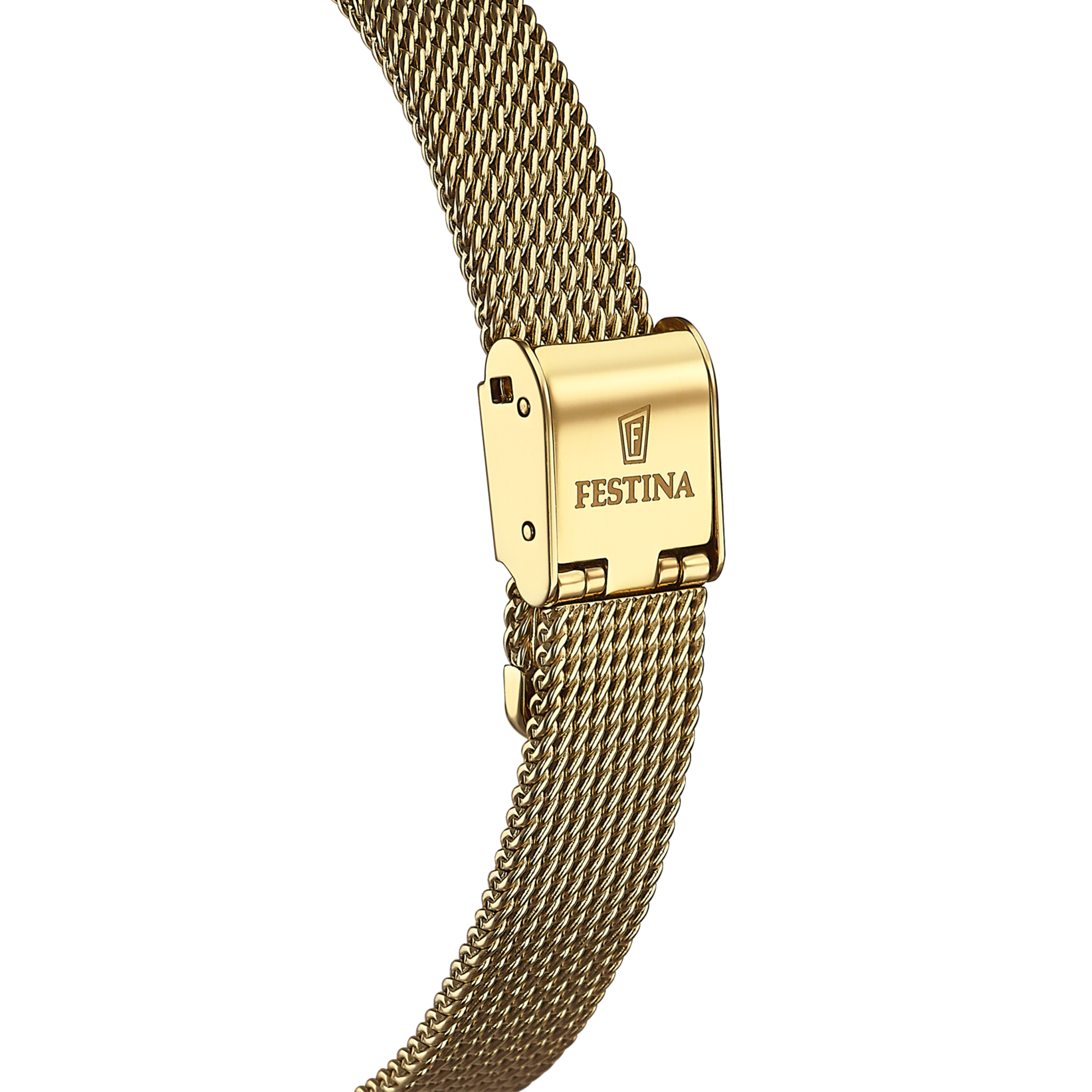 FESTINA - F20495/2