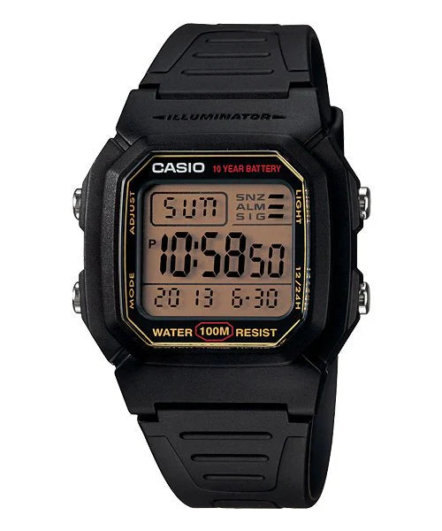CASIO HOMME SPORT W-800H-9AVDF