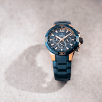 FESTINA HOMME F20524/1
