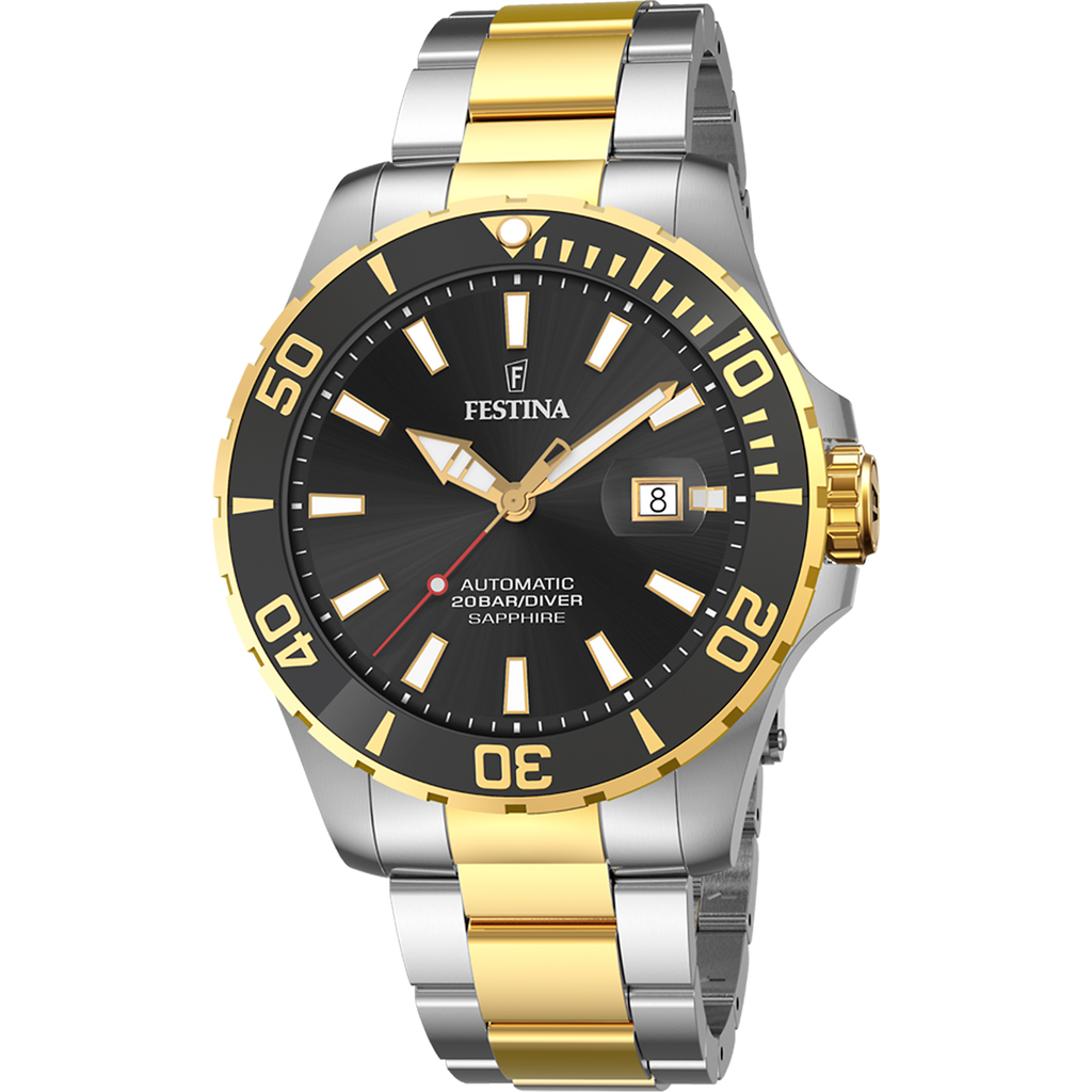 FESTINA HOMME F20532/2