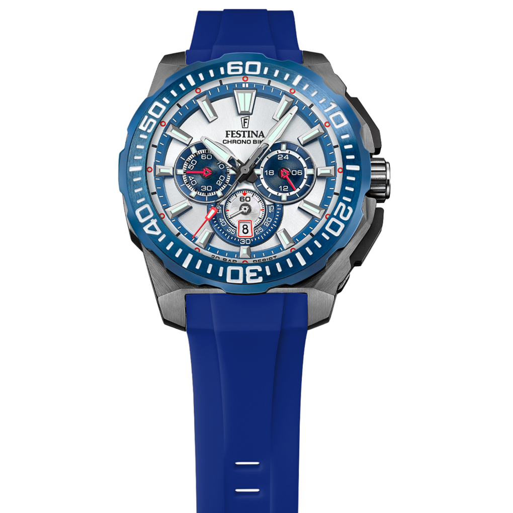 FESTINA HOMME F20725/4