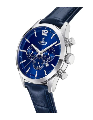 FESTINA F20542/2